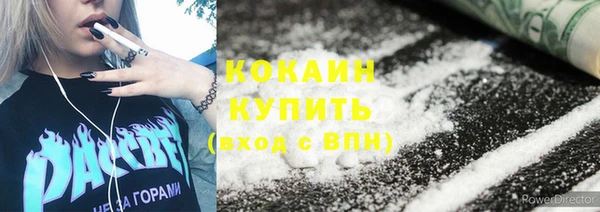 дживик Алзамай
