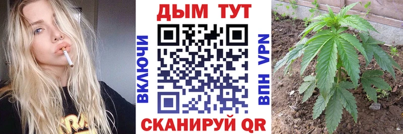 где купить наркоту  Усинск  Бошки Шишки сатива 
